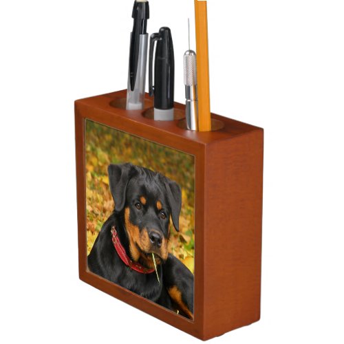 Rottweiler Pup Lying On The Ground In Forest Pencil Holder