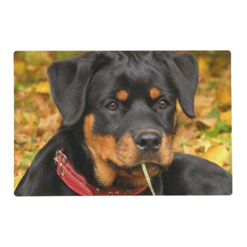 Rottweiler Pup Lying On The Ground In Forest Placemat