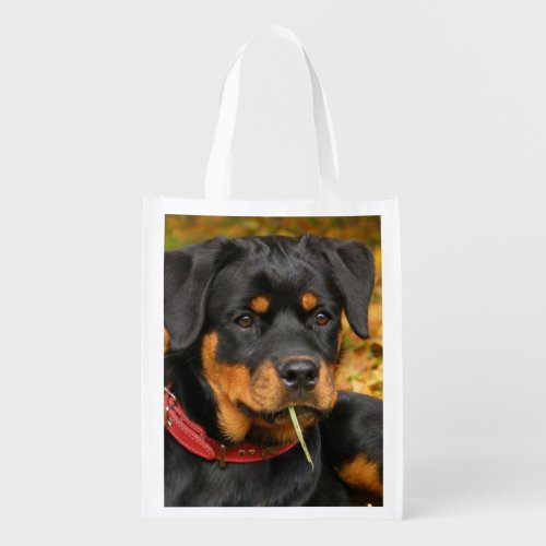 Rottweiler Pup Lying On The Ground In Forest Reusable Grocery Bag
