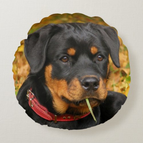 Rottweiler Pup Lying On The Ground In Forest Round Pillow