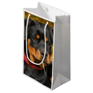 ROTTWEILER    Large Gift Bag w/matching Gift Tag 11" x  9" X 4" 