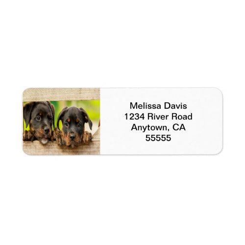 Rottweiler Puppies Address Labels