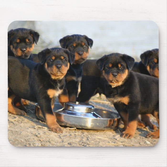 rottweiler puppies mouse mat