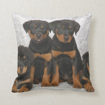 Rottweiler Puppies Throw Pillow by LATENA at Zazzle