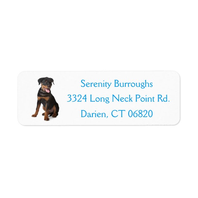Rottweiler Puppy Dog Blue Canine Address Label (Front)