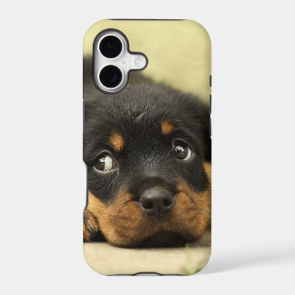 Rottweiler puppy dog curious iPhone 17 case
