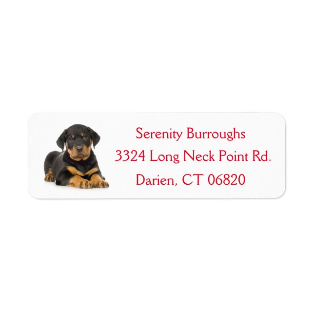 Rottweiler Puppy Dog Red Canine Address Label (Front)