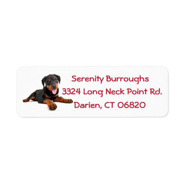 Rottweiler Puppy Dog Red Canine Address Label (Front)