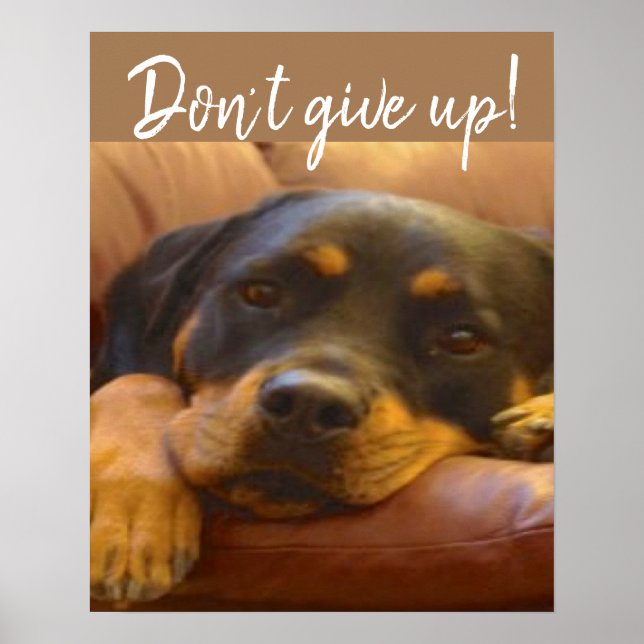 Rottweiler Puppy Don’t Give Up Poster (Front)