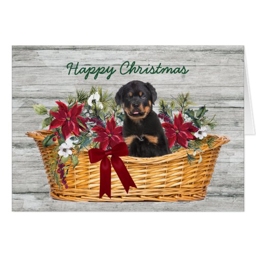 Rottweiler Puppy in Basket Christmas Card