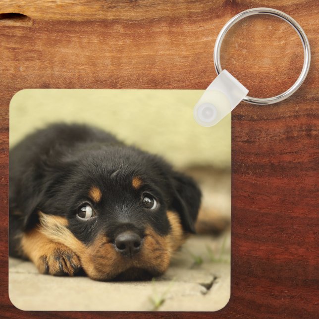 Rottweiler Puppy Keychain (Back)