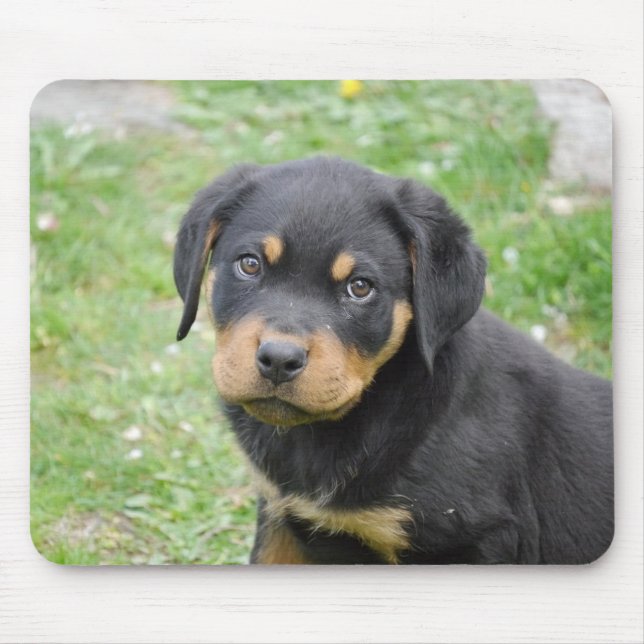 Rottweiler Puppy Mouse Pad (Front)
