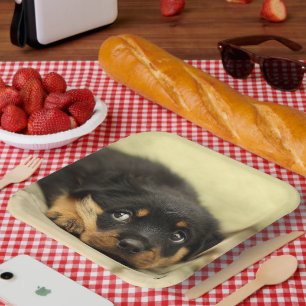 Rottweiler Puppy Paper Plates