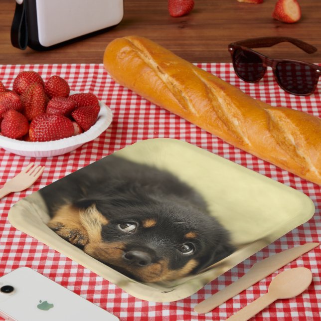 Rottweiler Puppy Paper Plates (Picnic)