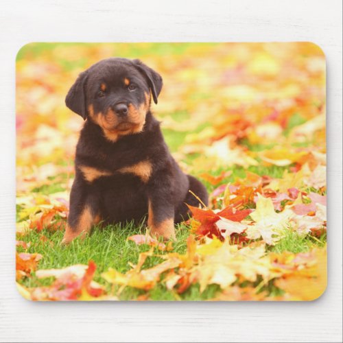 Rottweiler Puppy Sitting In Autumn Leaves Mouse Pad