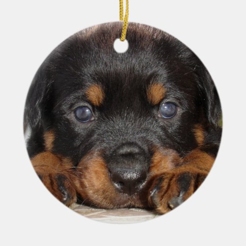 Rottweiler Puppy With Big Paws Lying Down Ceramic Ornament