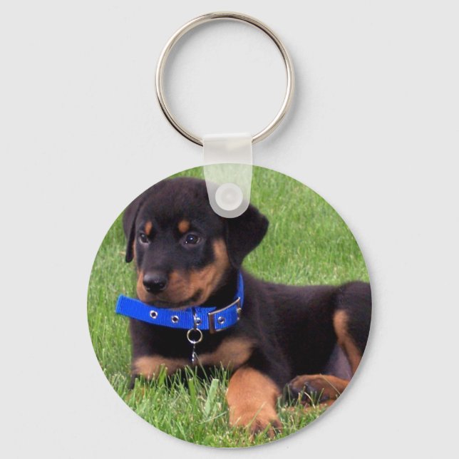 rottweiler pups. keychain (Front)
