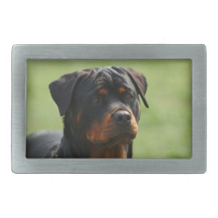 Rottweiler Rectangular Belt Buckle