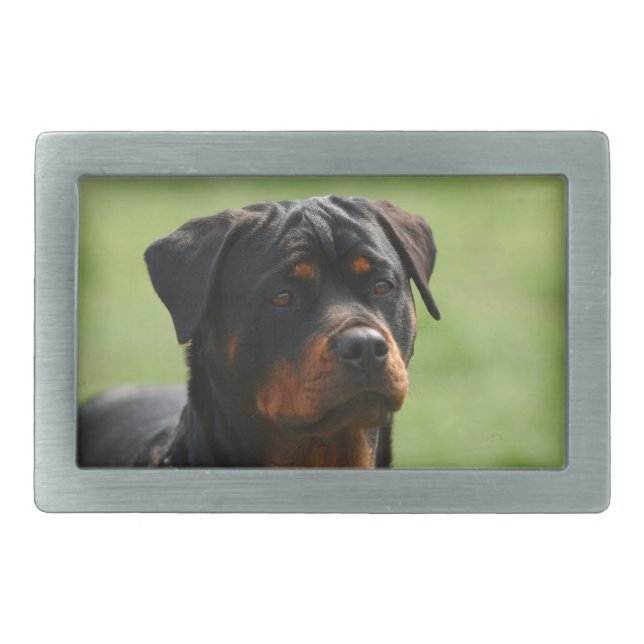 Rottweiler Rectangular Belt Buckle (Front)