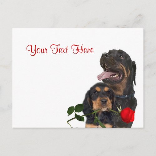 Rottweiler  Red Rose Valentine Design Holiday Postcard