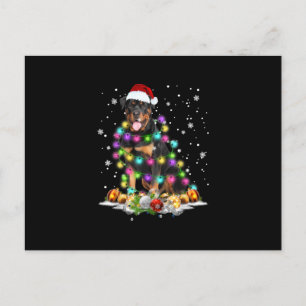 Rottweiler Santa Christmas Tree Lights Xmas Holiday Postcard