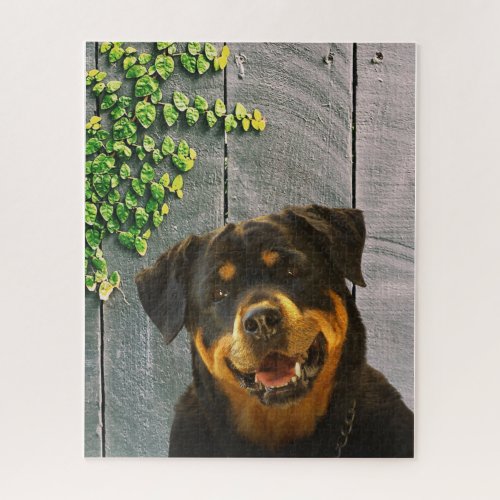 Rottweiler Smiling Jigsaw Puzzle