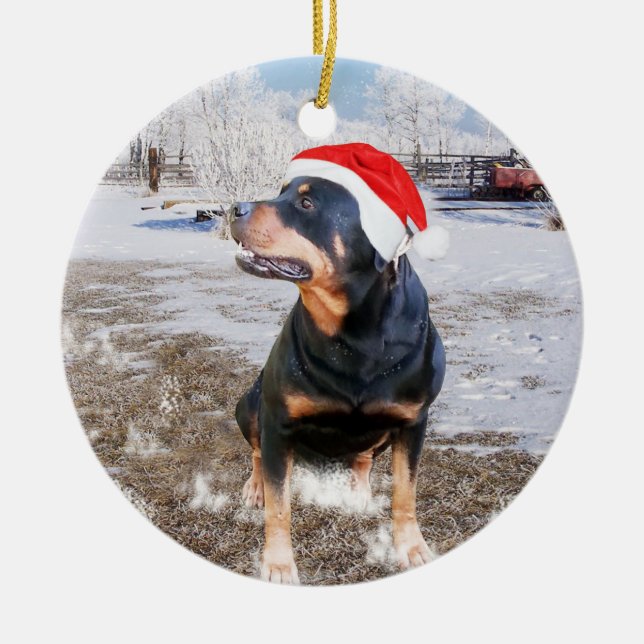 Rottweiler Snow Christmas Holiday Ornament (Front)