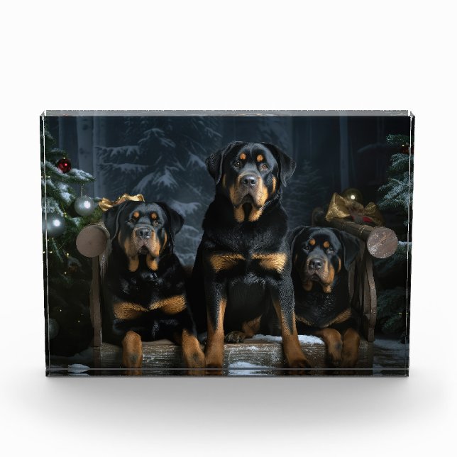 Rottweiler Snowy Sleigh Christmas Decor  Photo Block (Front)
