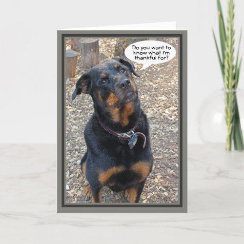 Rottweiler Thankful for You Thanksgiving Card