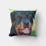 Rottweiler Throw Pillow at Zazzle