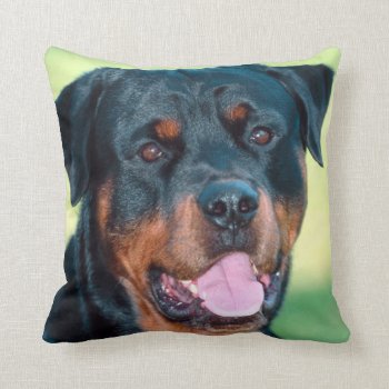 Rottweiler Throw Pillow by LATENA at Zazzle