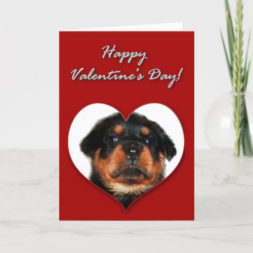 Rottweiler Valentines Day Card