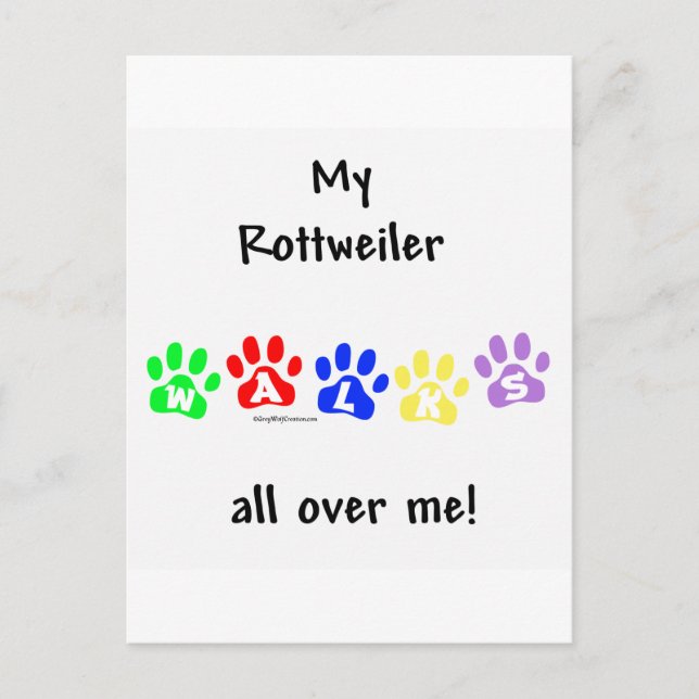 Rottweiler Walks All Over Me Postcard (Front)