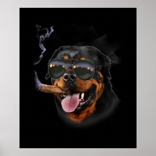 Rottweiler With Cigar Wearing Aviator Sunglass Poster