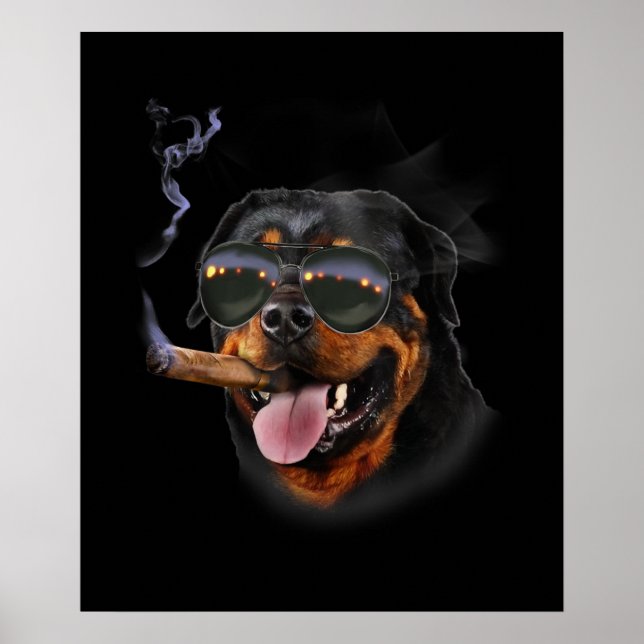 Rottweiler With Cigar Wearing Aviator Sunglass Poster (Front)