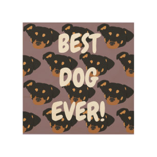 Rottweiler  wood wall art