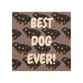 Rottweiler  wood wall art