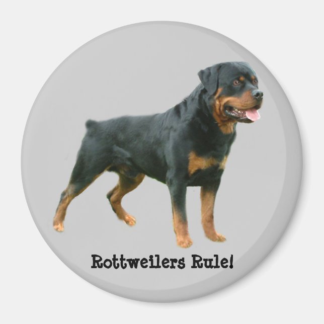 Rottweilers Rule Magnet (Front)