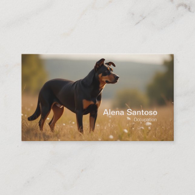 Rotweiller Dog Business Card (Front)