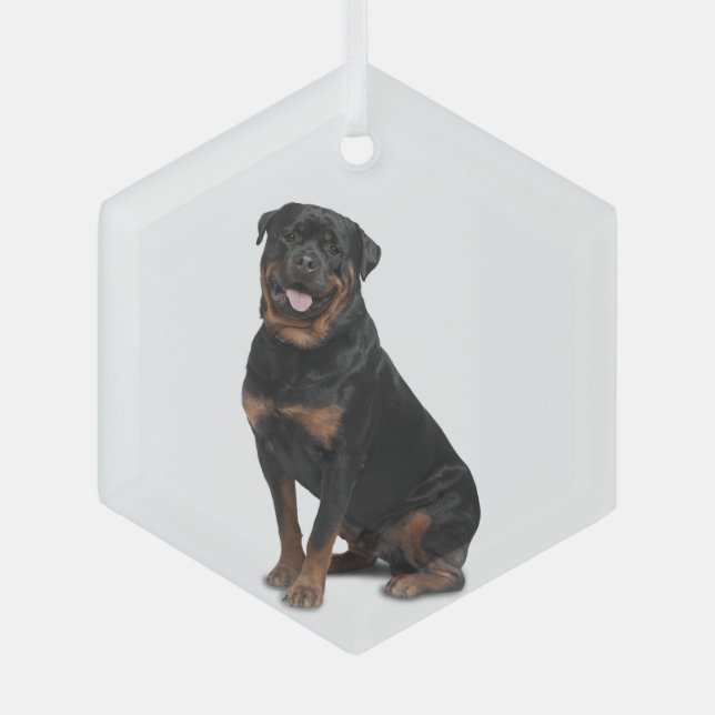 Rotweiller Dog Pet Animal  Glass Ornament (Front)