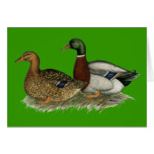 Rouen Ducks (Front Horizontal)
