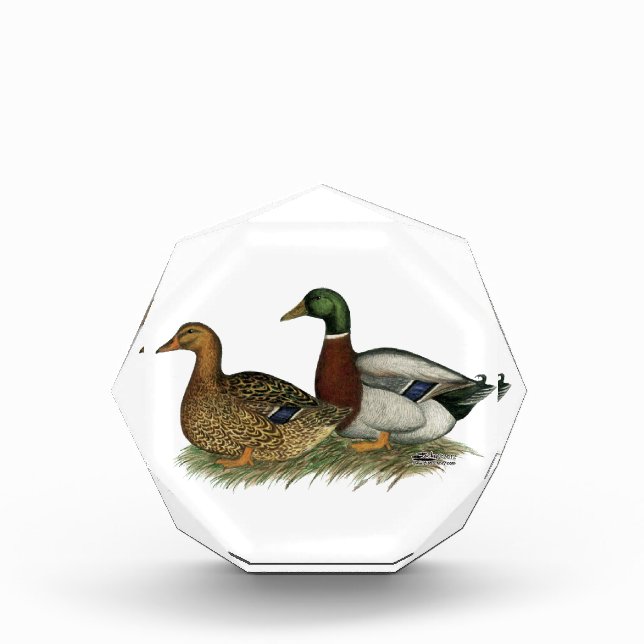 Rouen Ducks Award (Front)