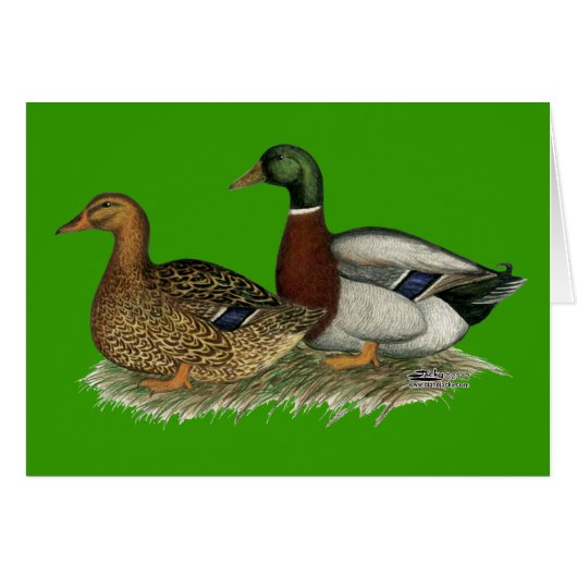 Rouen Ducks Cards (Front Horizontal)