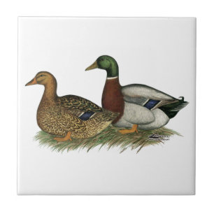 Rouen Ducks Ceramic Tile