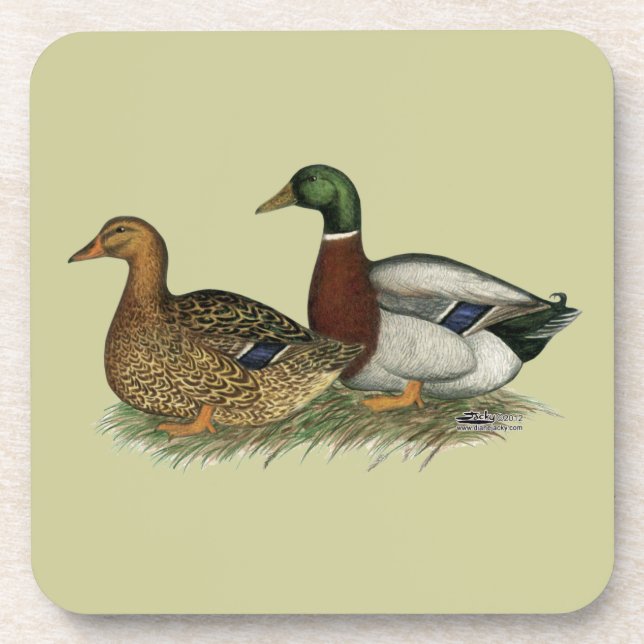 Rouen Ducks Coaster (Front)