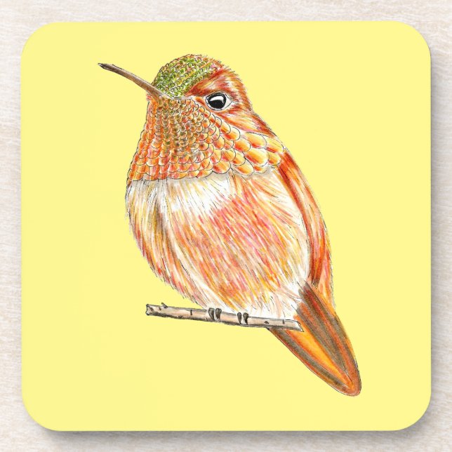 Roufus Hummingbird Perched Orange Illustration Beverage Coaster (Front)