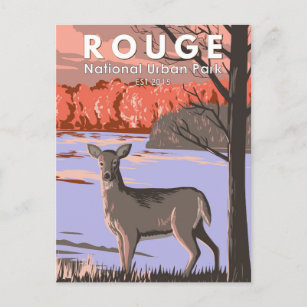 Rouge National Urban Park Canada Travel Vintage Postcard