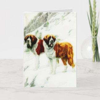 rough and smooth St Bernard - painting Card