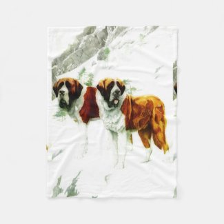 rough and smooth St Bernard - painting