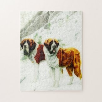 rough and smooth St Bernard - painting